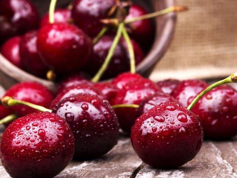 Вишня купить саженцы из питомника в Майкопе